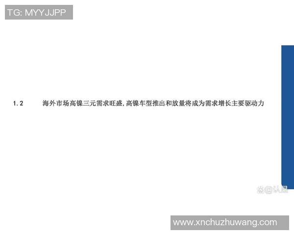 杭州羽毛球队实力分析与发展潜力的深度探讨与展望